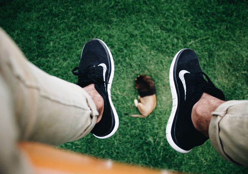 nike fly knits fly over a lion 4k