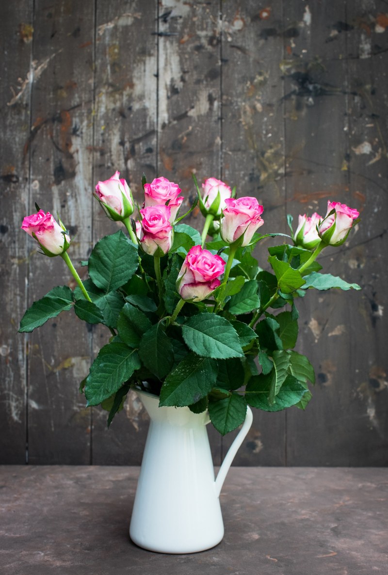 pink roses 4k