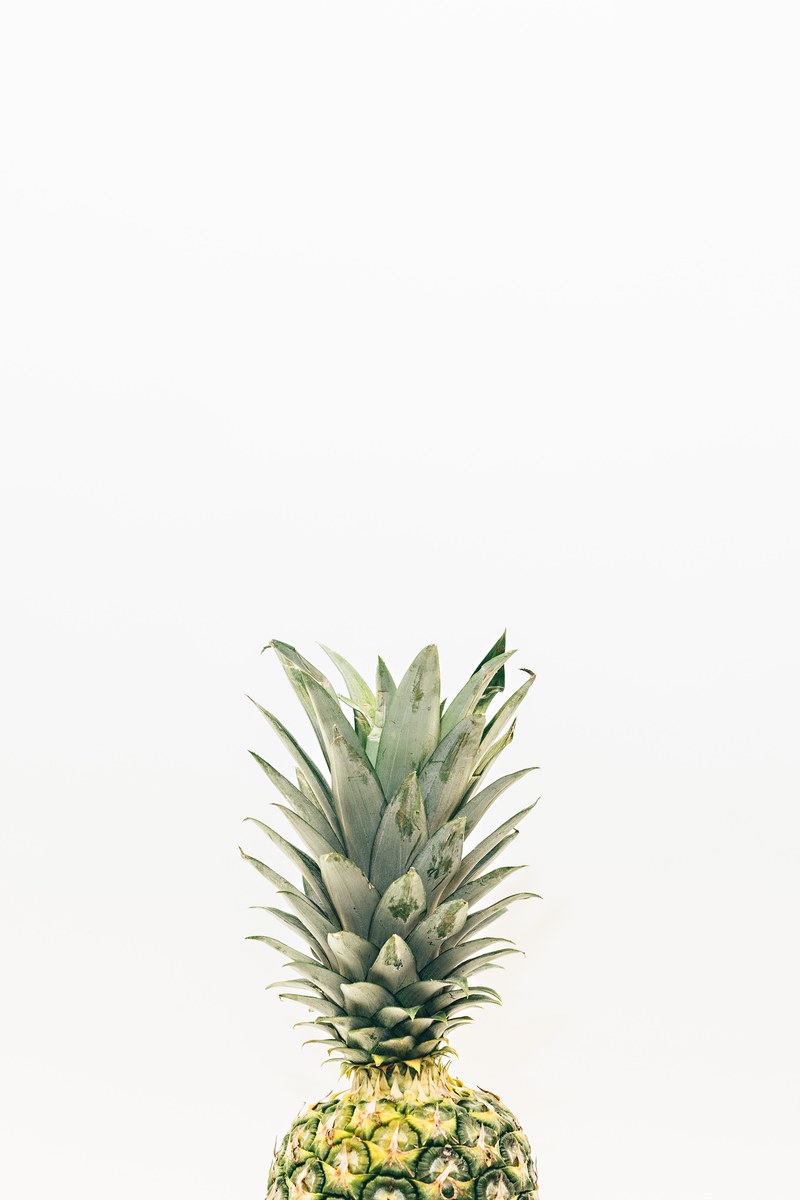 the top half of a pineapple, _stand up and stay golden 4k