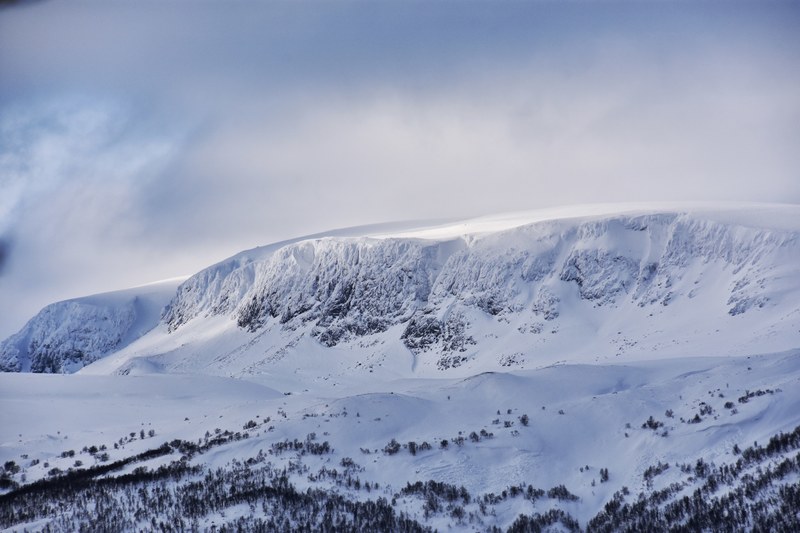snow wilderness winter and landscape 4k