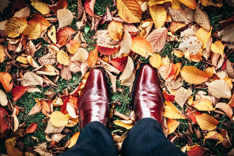 an overhead shot of a persons shiny brown leather shoes on a carpet of autumn leaves, shiny shoes on autumn leaves 4k