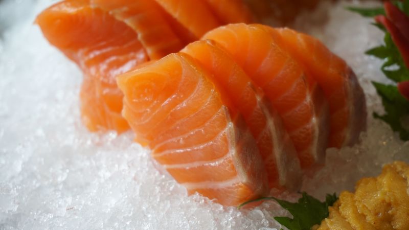 salmon, ice, fish, meat, sliced, 4k