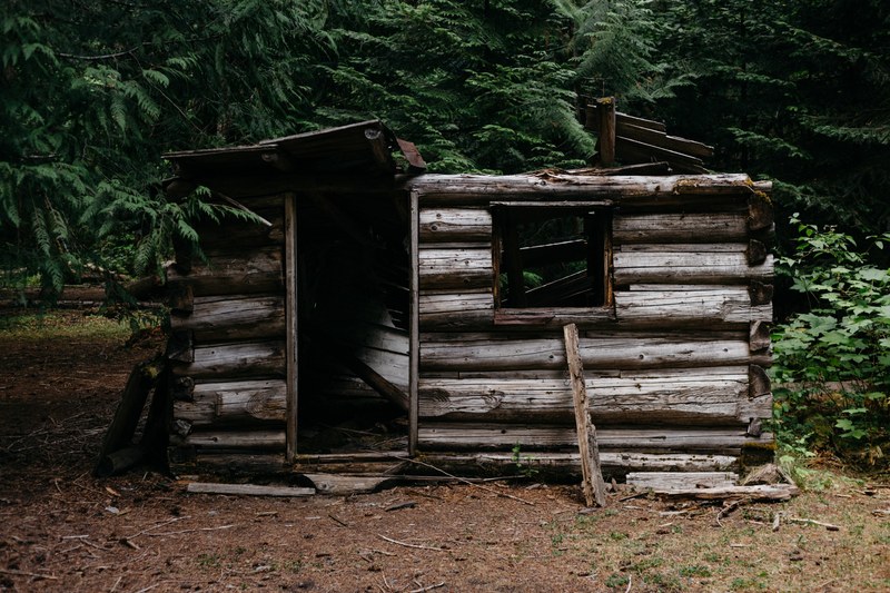 a wood cabin that is falling apart in the forest in cascade range, cascade range cabin 4k