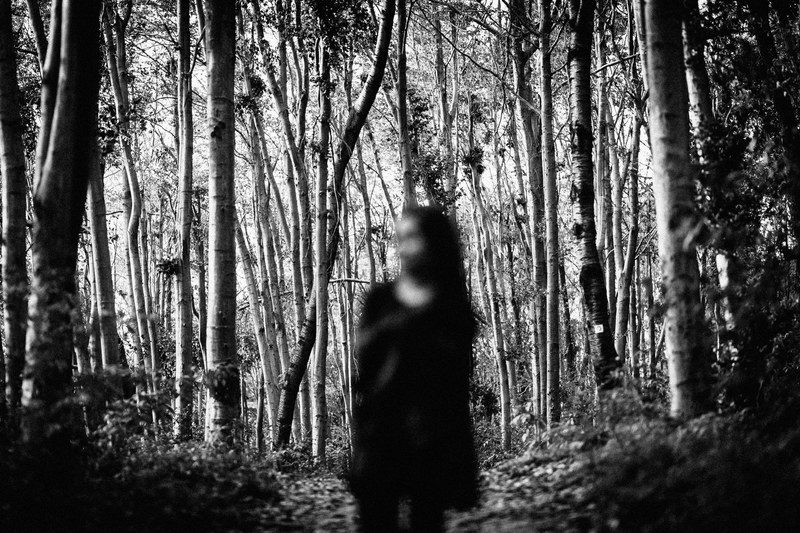 a blurred image of a person standing in the woods, _blurry person woods 4k