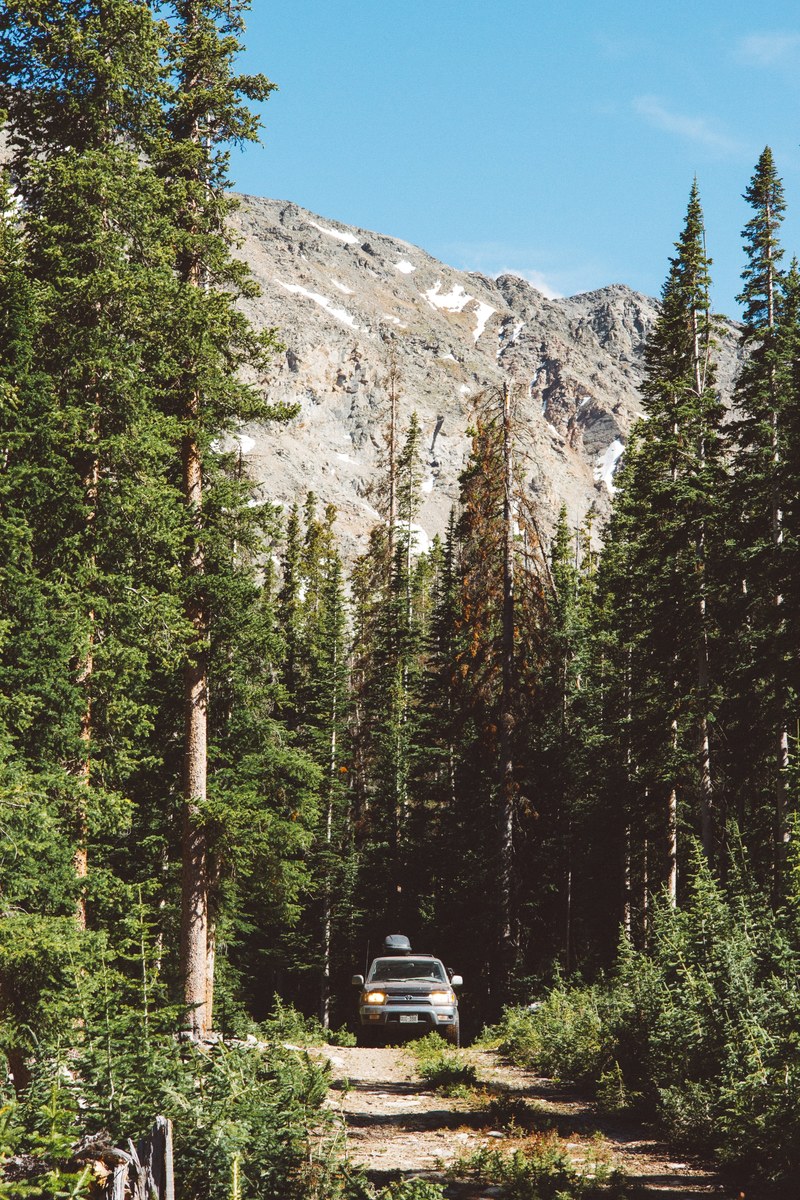car on off road track in the forest of colorado, _off roading in a forest 4k
