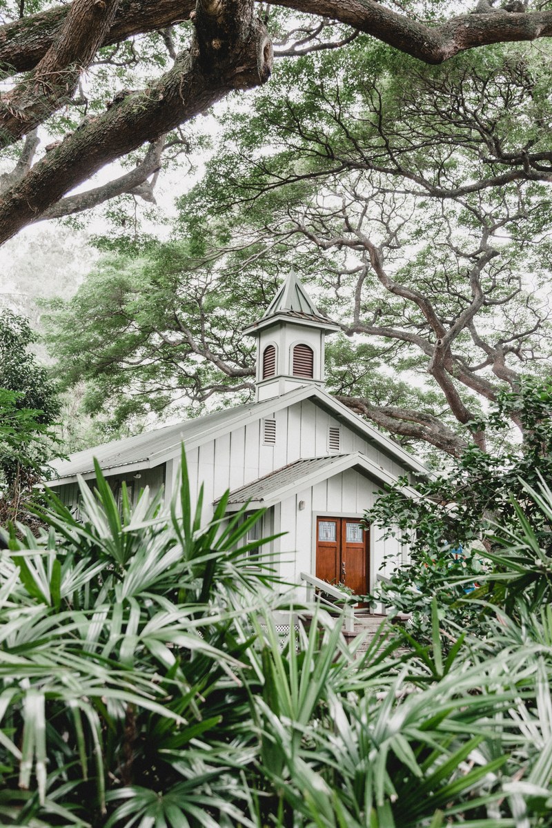 church shed building and tree hd, 4k