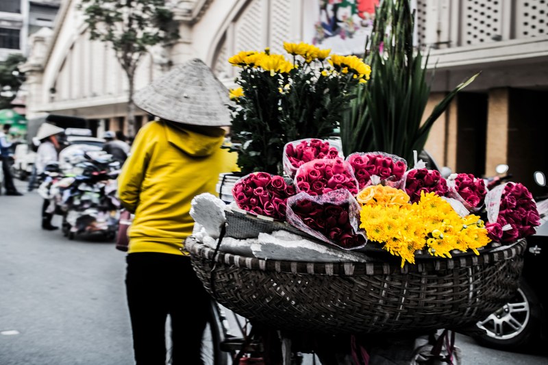 a woman pulling a cart full of flowers, _lost in the streets 4k
