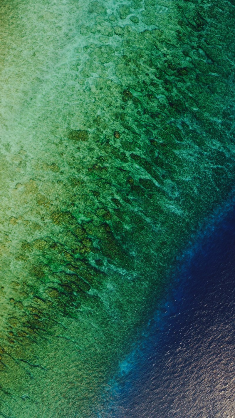 maldives 4k