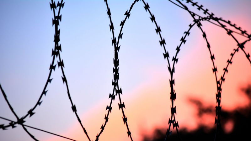 barbed wire, netting, fencing, 4k