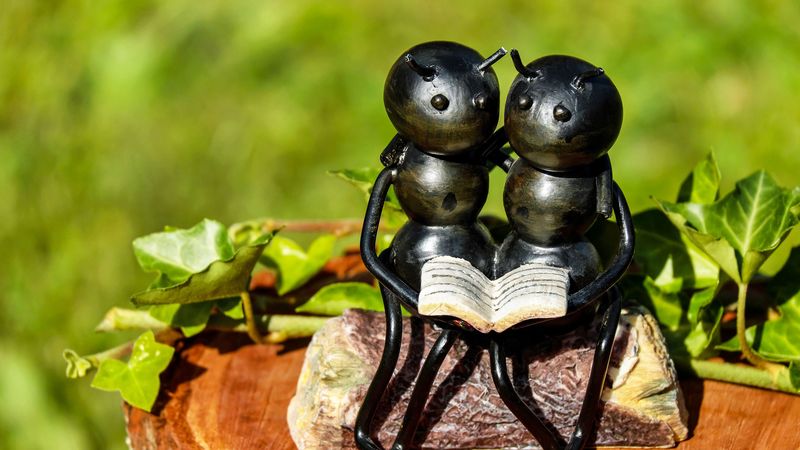ants, insects, sculpture, bench, couple, book, 4k