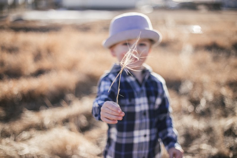 child kid wilderness and field 4k