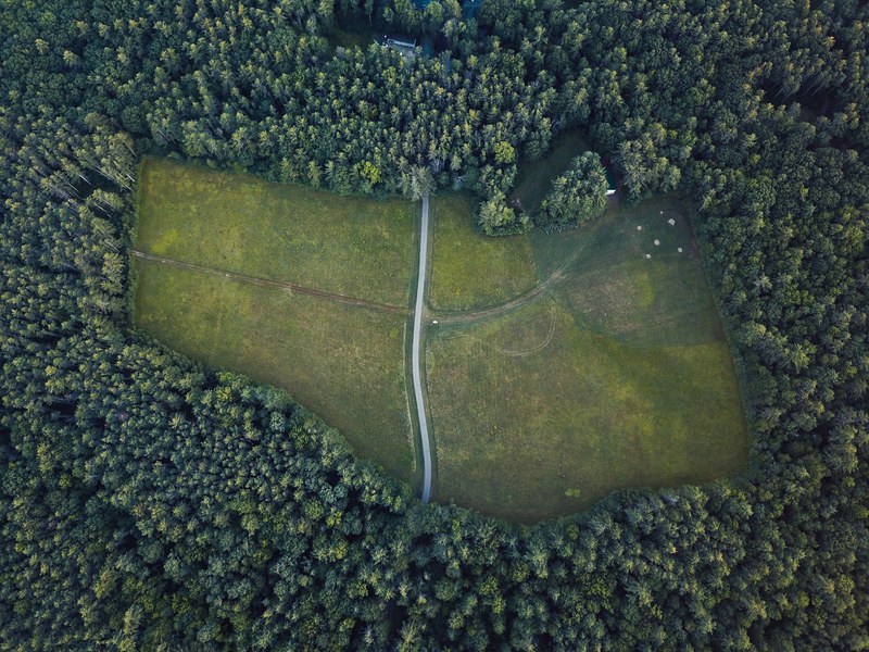 a drone view of a baseball field and soccer field with a path through them surrounded by dark green fir trees, if you build it they will come 4k