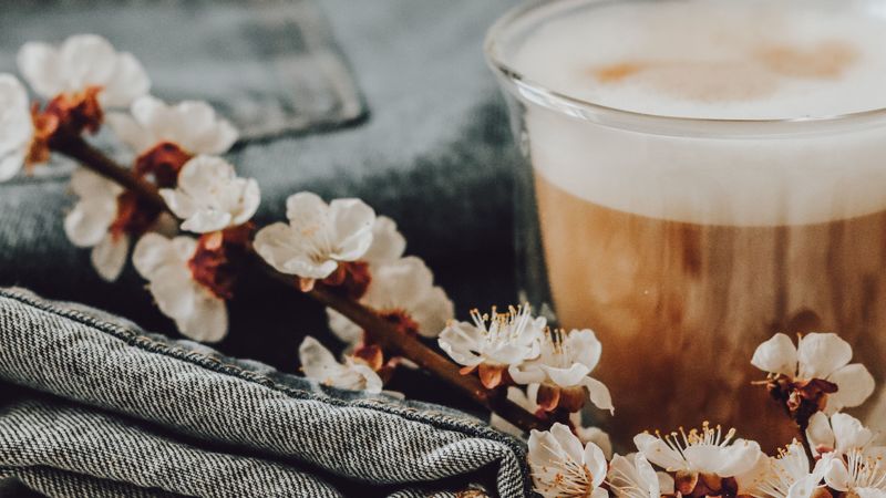 cappuccino, flowers, flowering, still life, 4k