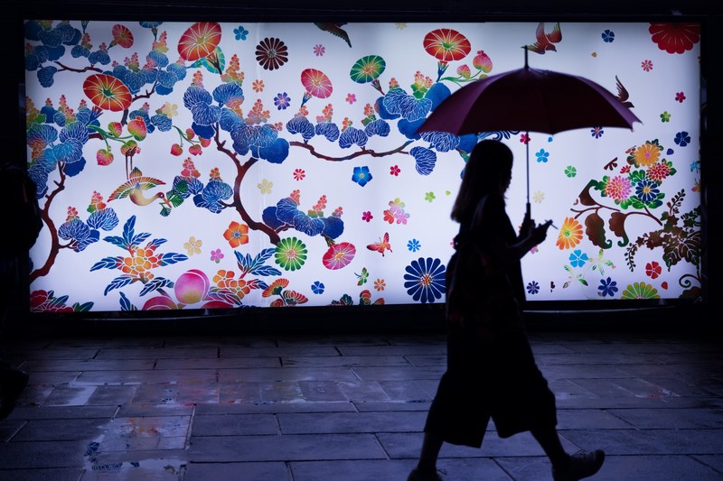 a silhouette of a woman walking and holding an umbrella near a colorful flower painted wall, _woman holding umbrella walking 4k