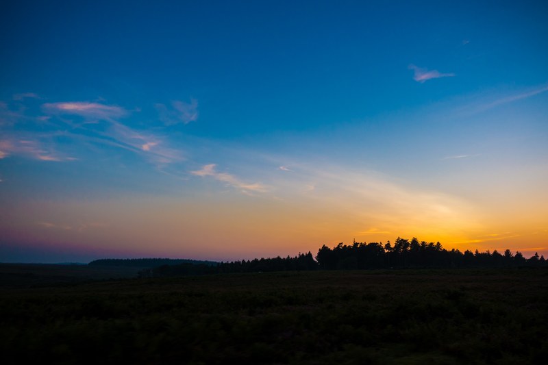 sunset in the forest 4k