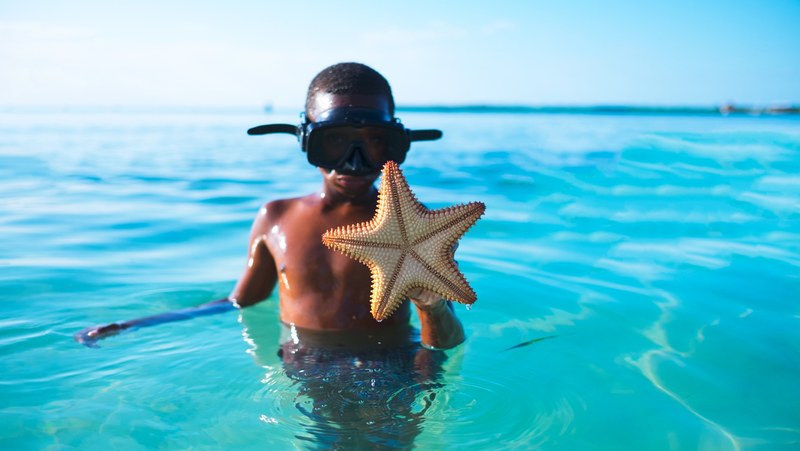 snorkeling in the caribbean 4k
