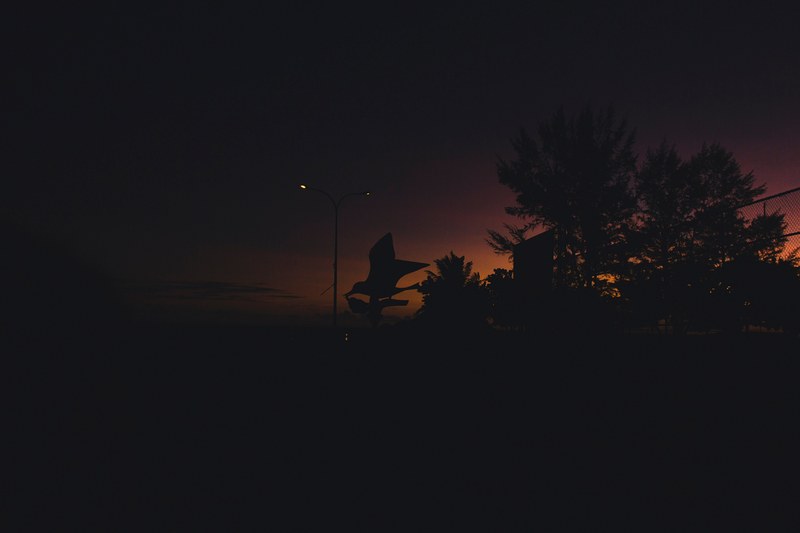 darkness in a park outside, _fading light 4k