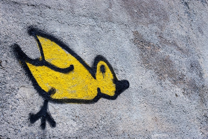 graffiti street art of lone yellow bird on gray textured wall in dublin, yellow bird painting 4k