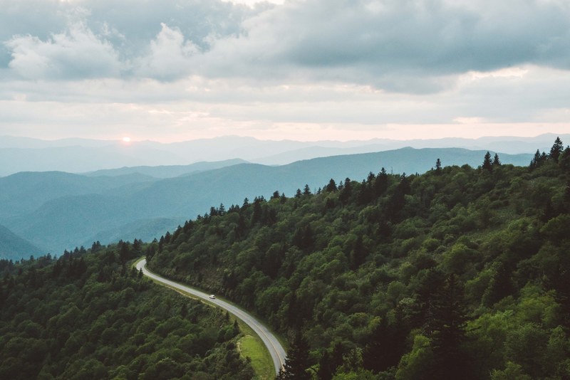 a curved road traveling along a mountain surrounded by forests, _riding into the sunset 4k