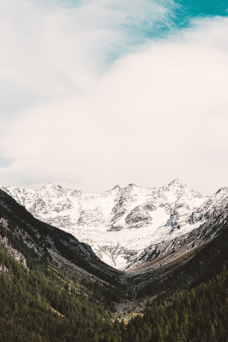 layer of sugar 4k