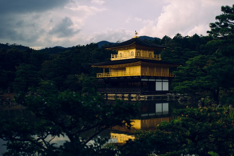 golden temple next to pond in the middle of forest in kinkaku ji, kinkaku ji golden temple 4k