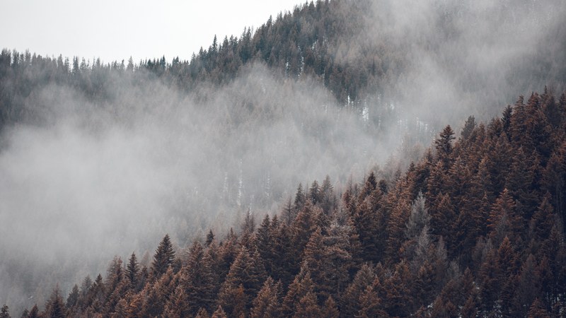 winter wilderness 08 4k