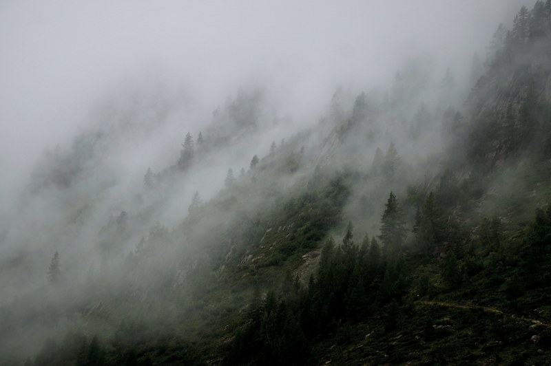 mist rolling down a wooded slope in chamonix, mist on a slope 4k