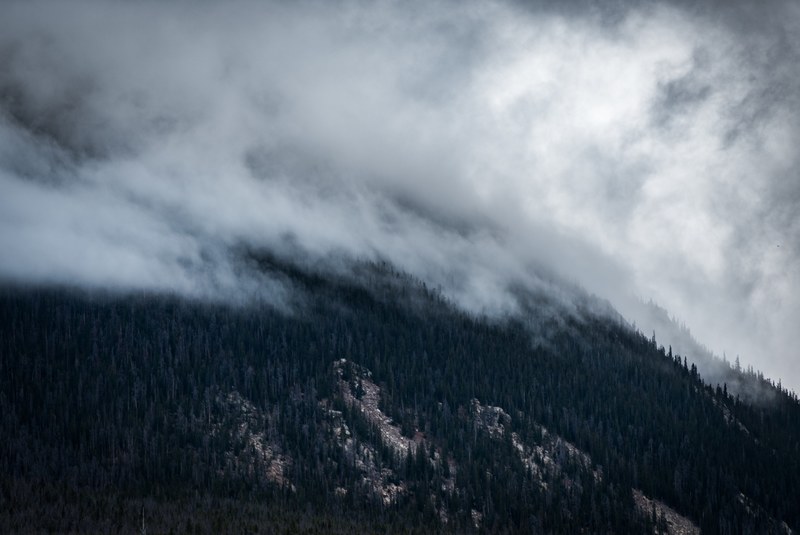 mist coming down a wooded slope in silverthorne, fog on a slope in silverthorne 4k