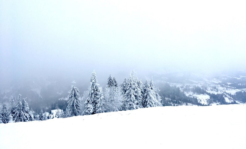 frozen cold nature and carpathian mountain 4k