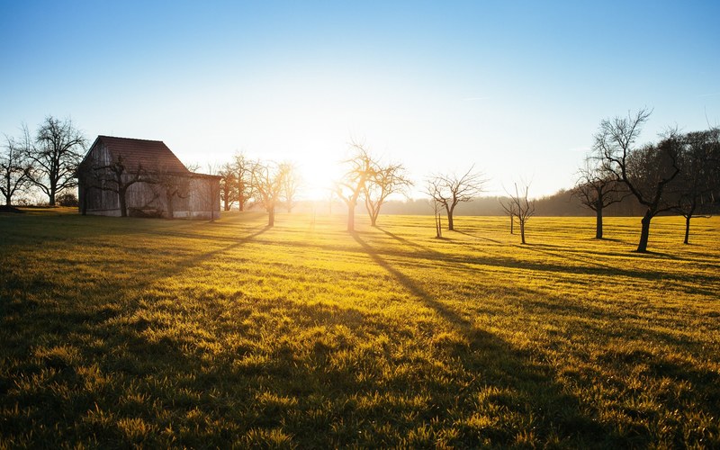 a shed and trees on a grassy field during sunset, sunset field 4k