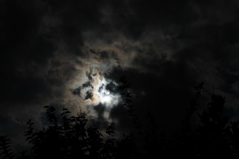 looking up at the full moon peeking out of dark clouds through some trees at maastricht, moon on cloudy sky maastricht 4k