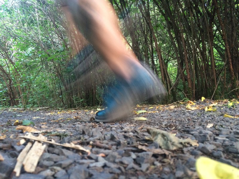 shoe tree forest and trail running 4k