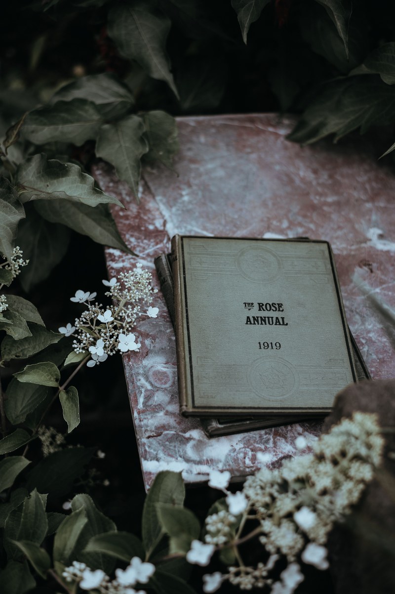 book plants mood and folk hd, 4k