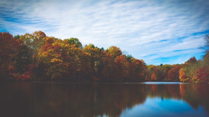 a water level shot of a lake and its wooded shores in the autumn in mountain lakes nature preserve, tranquil autumn lake 4k