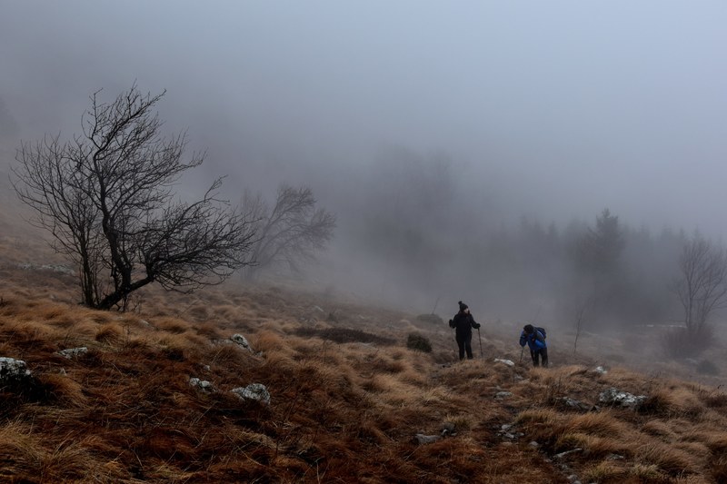 people hike over hills on a foggy winter walk, hikings through hills 4k