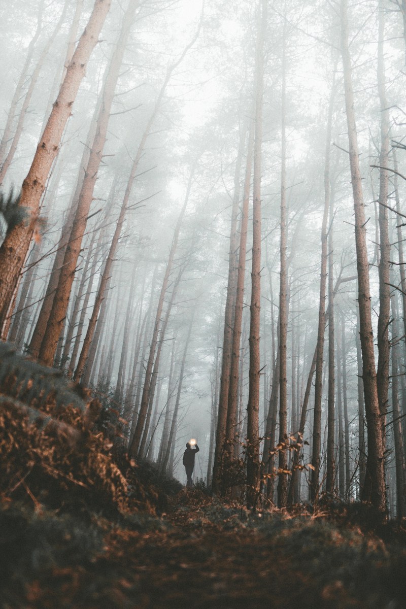 searching lost places 4k