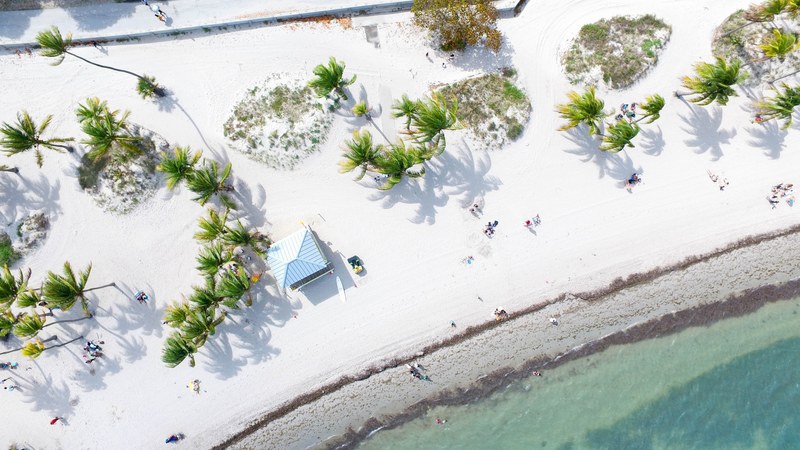 drone aerial view of a white sand beach with people palm trees and a hut, beach life 4k