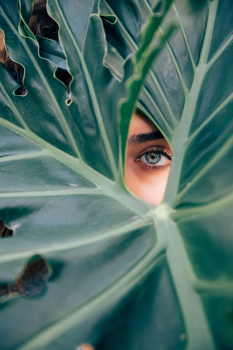 womans eye peers through large green leaves, eye of brookemaroon 4k