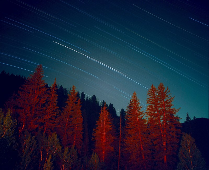 red light on coniferous trees under straight lines formed by stars moving in the sky, moving stars above red trees 4k