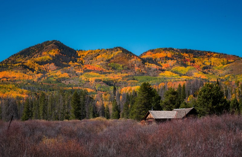 hills with colorful autumn trees near a wooden cabin, cabin near colorful hills 4k