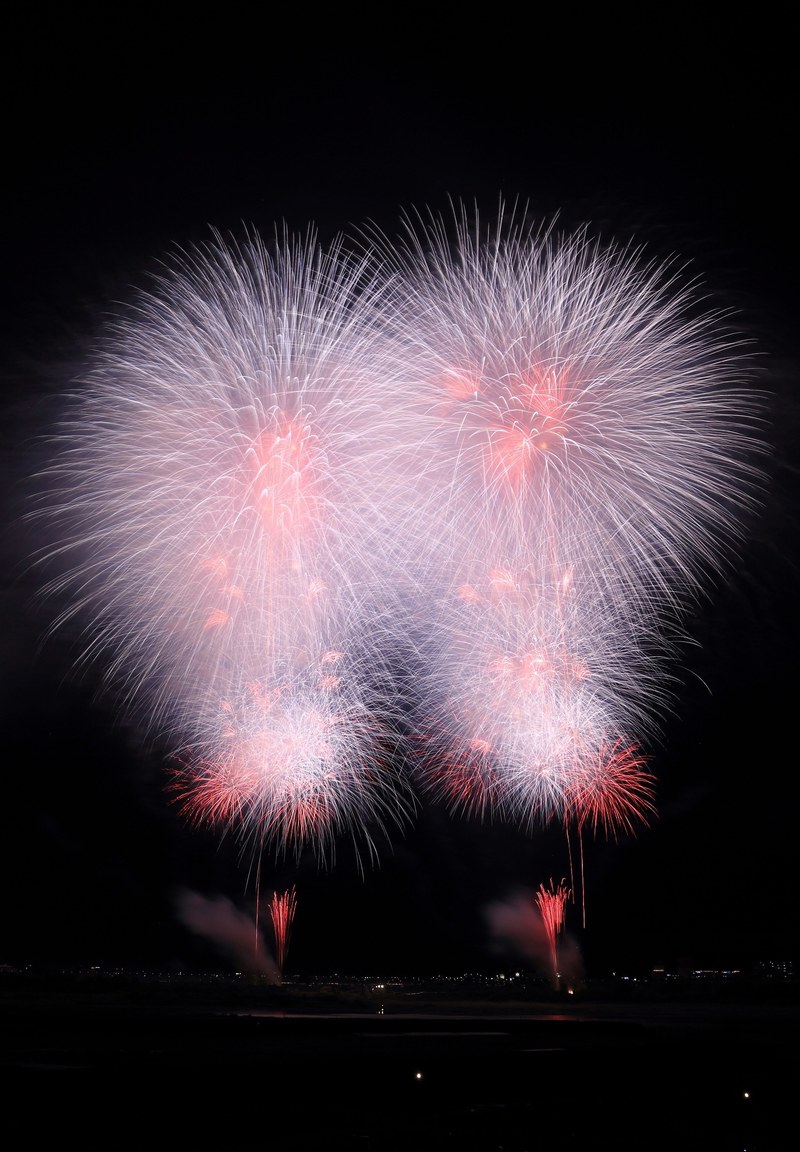 firework night sky and explosion hd, 4k