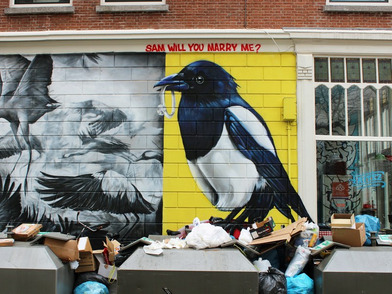 unique graffiti art on street walls by piles of garbage, urban stories 4k