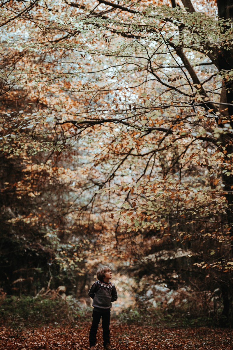 child in woods 4k