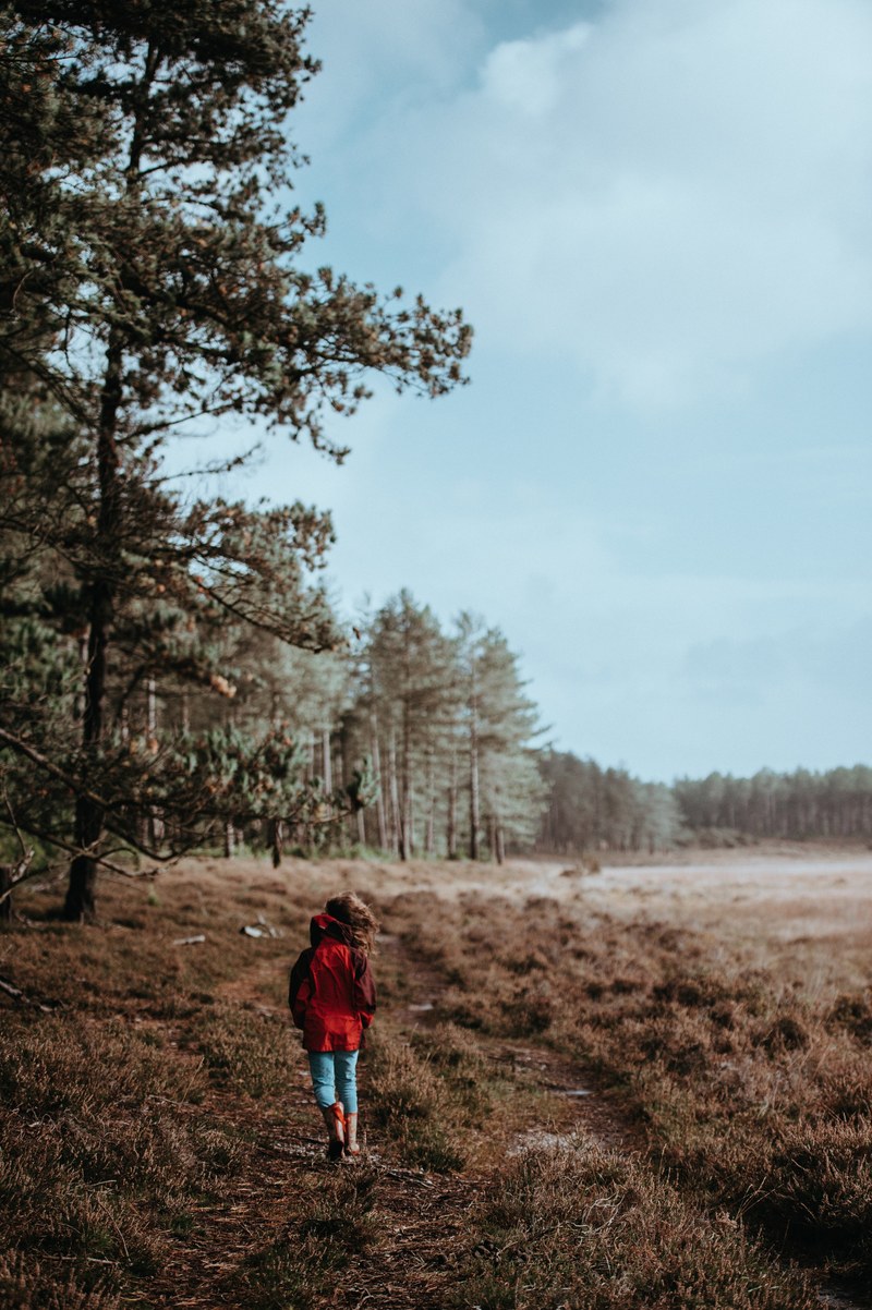 child walking in the forest on a windy day 4k