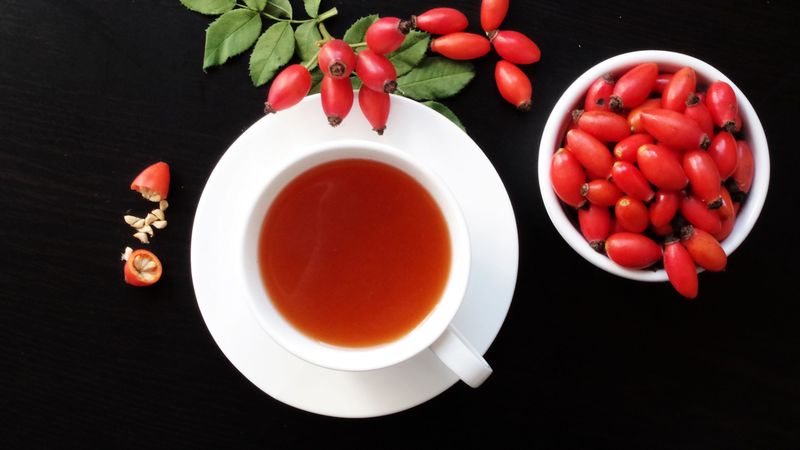 dog-rose, tea, cup, 4k