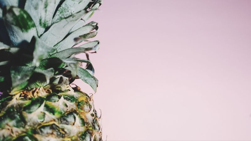 pineapple, fruit, minimalism, 4k