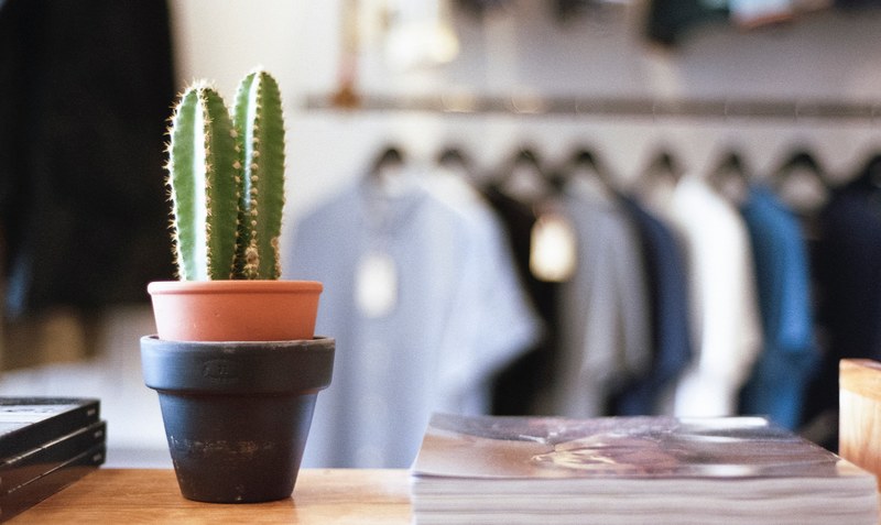 a cactus in a pot next to a pile of magazines in a clothes store, boutique details 4k