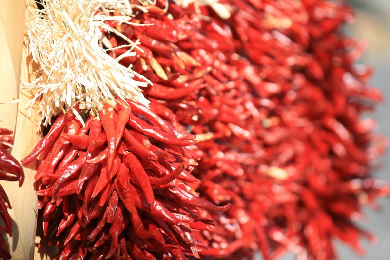 bundles of dried red spicy chili peppers, spicy chili peppers 4k