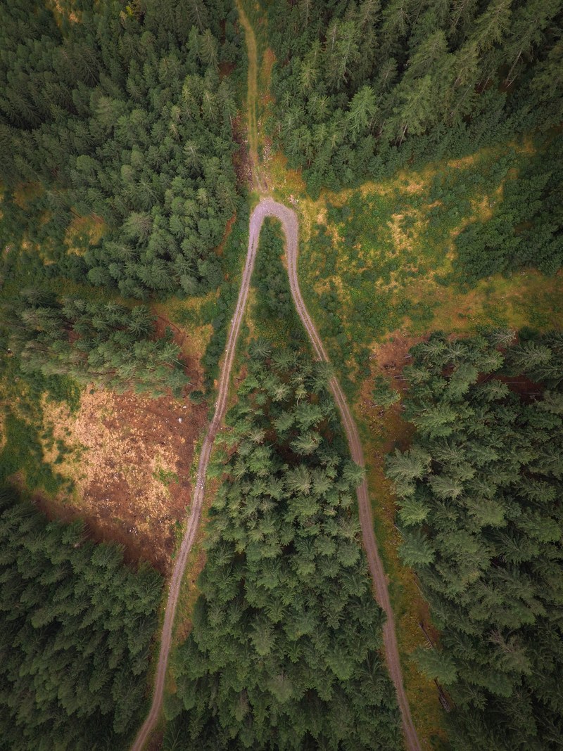 take a little detour 4k