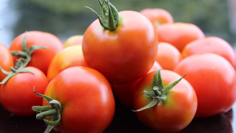 tomato, vegetable, ripe, 4k